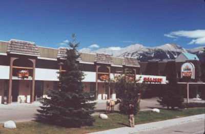 Maligne Lodge