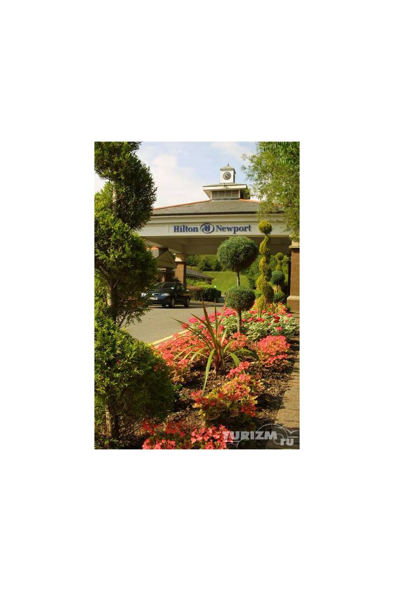 Hilton Newport