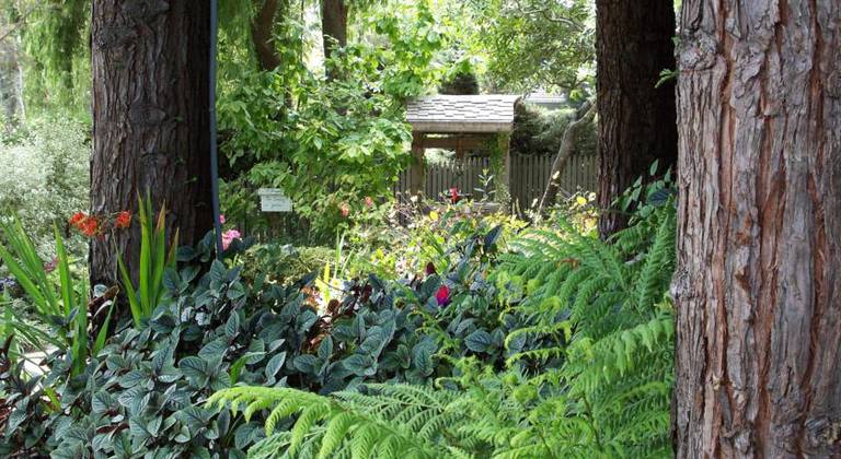 Cambria Pines Lodge