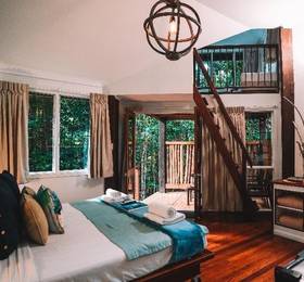 Туры в Ferntree Rainforest в Австралии