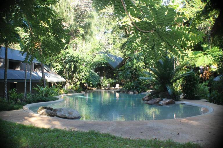 Ferntree Rainforest