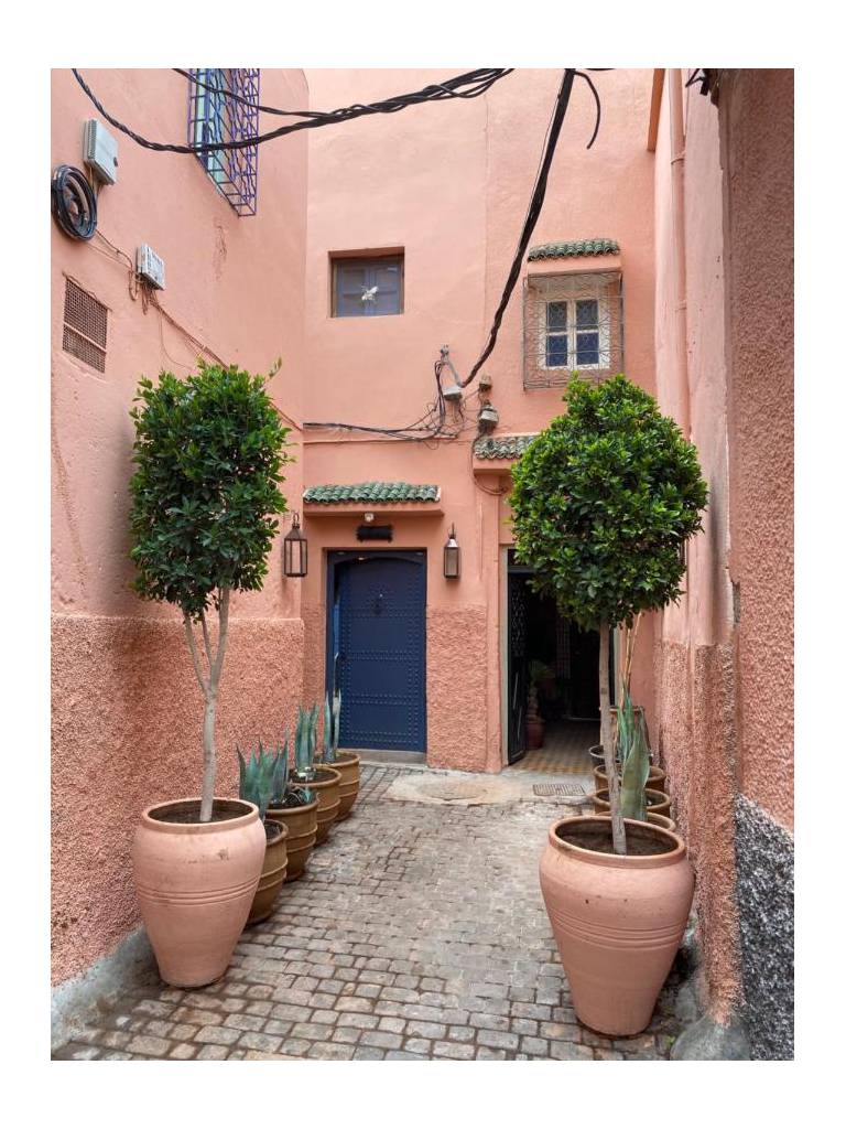Riad Jonan