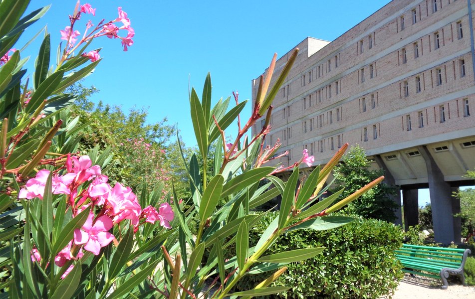 Южнобережный 2*