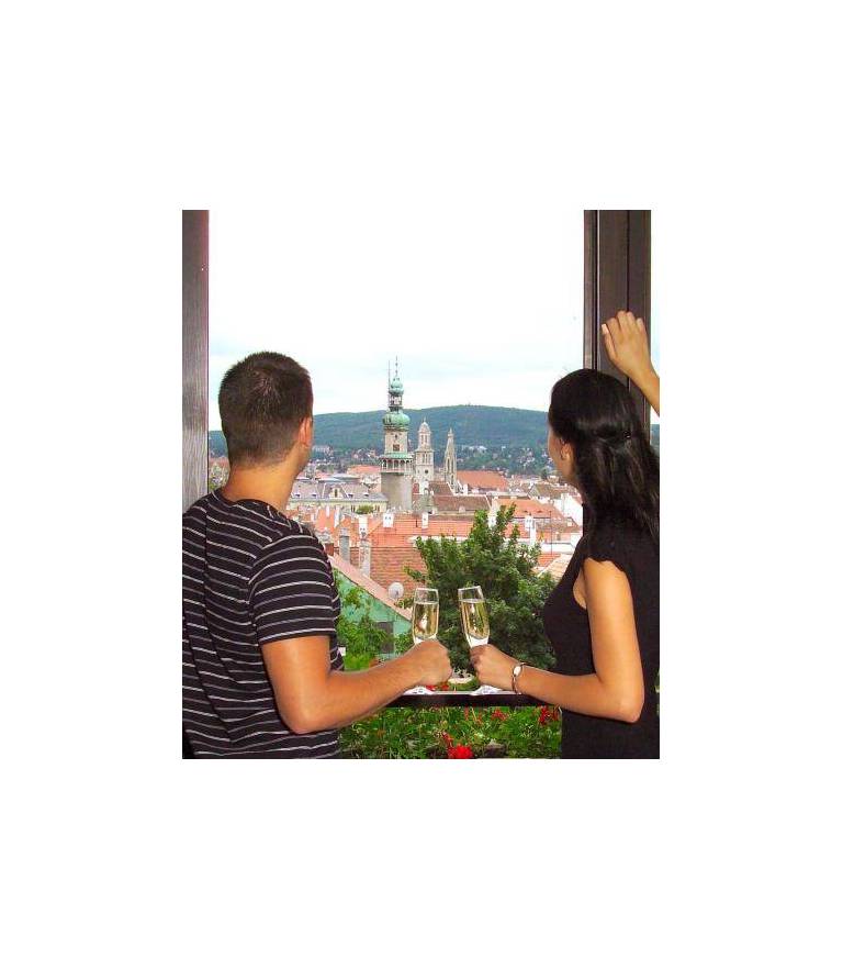Hotel Sopron