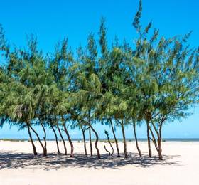 Туры в Ocean Beach Resort & Spa в Кении
