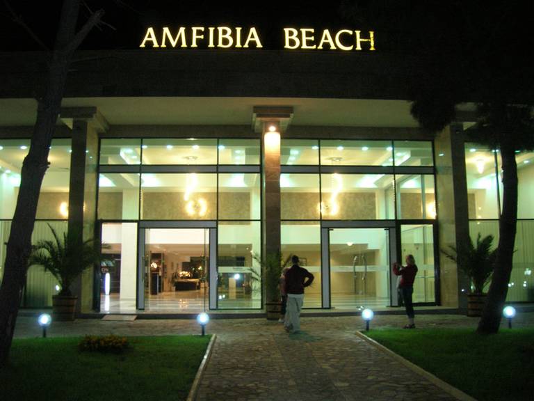 Amfibia