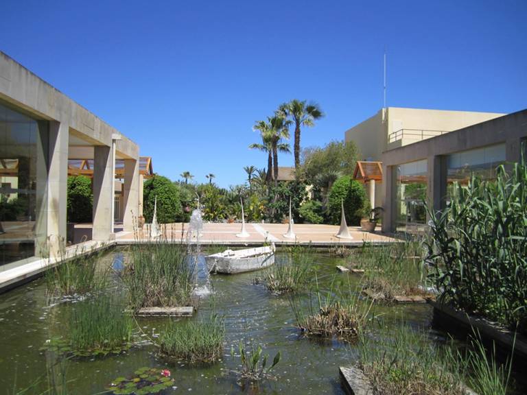 Allsun Hotel Eden Playa