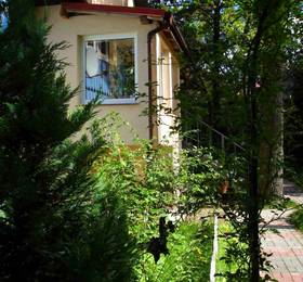 Отдых в Сосны - Россия, Светлогорск 
