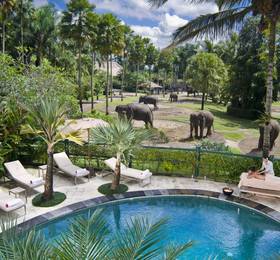 Туры в Elephant Safari Park Lodge в Индонезии