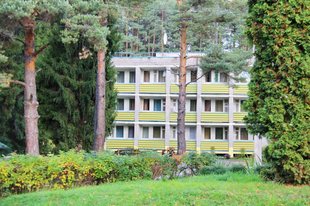 Пансионат с лечением Сосновый бор, д. Воронино