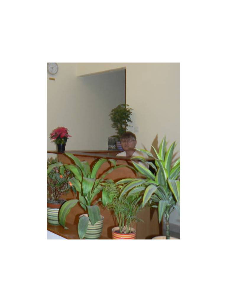 Arbi Apartman Hotel