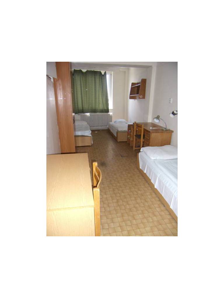 Kinizsi Hostel 