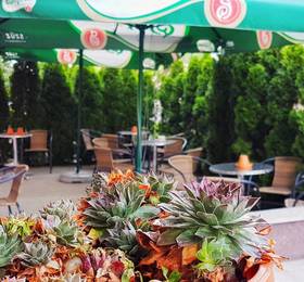 Отдых в Pest Inn Hotel - Венгрия, Будапешт