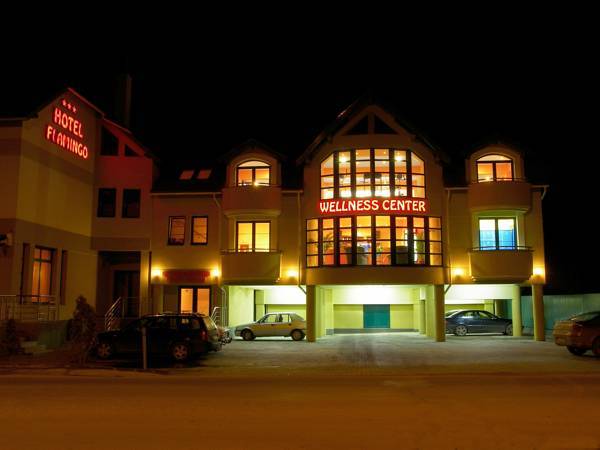Flamingo Hotel & Wellness Center 3* Румыния, Меркуря-Чук