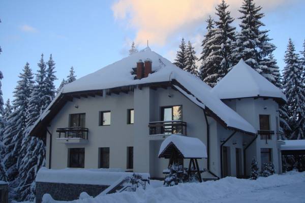Pensiunea Daria Poiana Brasov 4* Румыния, Пояна-Брашов