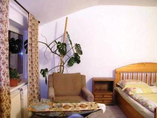 Pension Casa Cristina 3* Румыния, Брашов