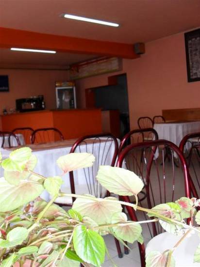 Pension Casa Samurai 3* Румыния, Брашов