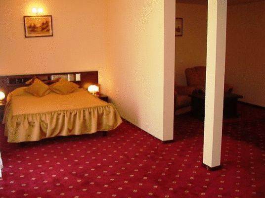 Hotel Magic Trivale 3* Румыния, Питешти