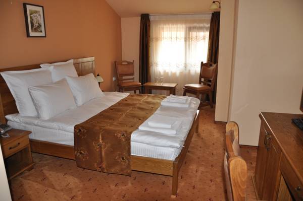 Pension La Fontana 4* Румыния, Бая-Маре