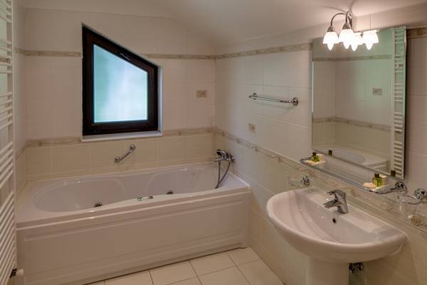 Hotel Regal Sinaia 3* Румыния, Синая
