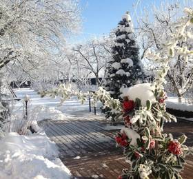 Guesthouse Stupina в Брашове