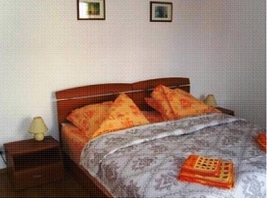 Pension Vila Andra 3* Румыния, Сибиу