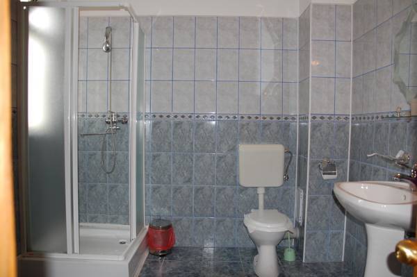 Pension Elisabeta  3* Румыния, Рымнику-Вылча