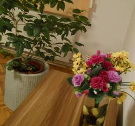 Туры в Apartament Havana  в Румынии