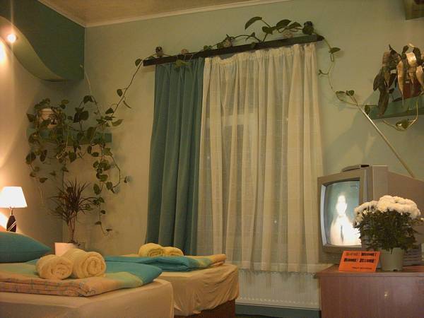 Pension Casa Mica 3* Румыния, Бухарест