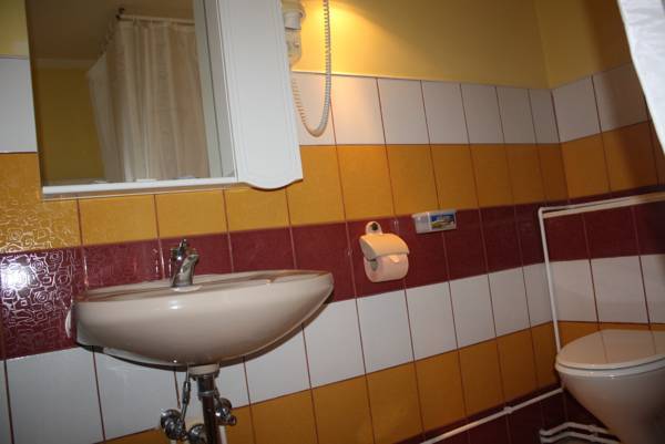 Pensiunea Zodiac 3* Румыния, Тимишоара