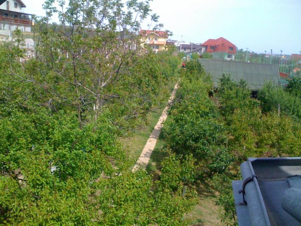 Pension Garofita 3*