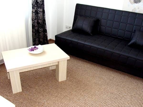 Pension Daciana 3* Румыния, Бакэу