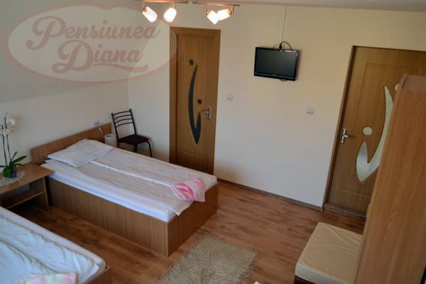 Pensiunea Diana 3* Румыния, Дева