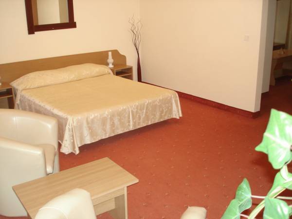 Hotel Strelitia 3* Румыния, Тимишоара