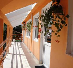 Туры в Suri Guesthouse в Румынии