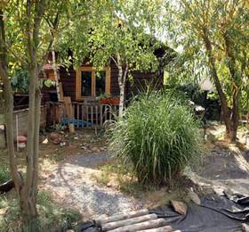 Casa Bunicilor в Тимишоаре