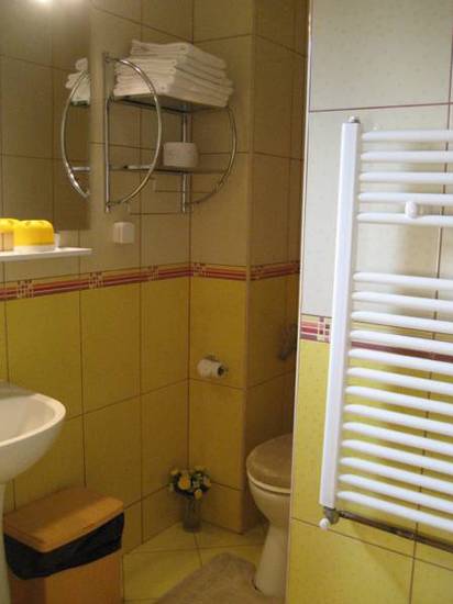 Pension Raluca 3* Румыния, Синая