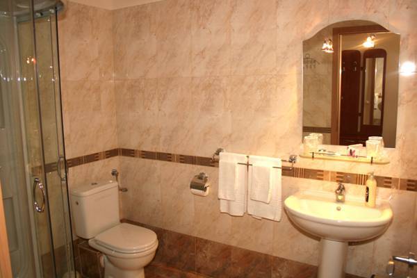 Hotel Elvetia  Румыния, Дева