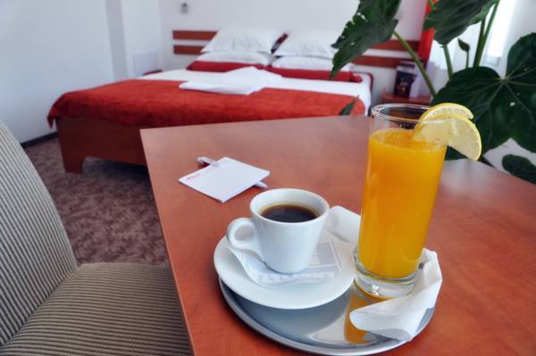 Hotel Alexis 3* Румыния, Клуж-Напока