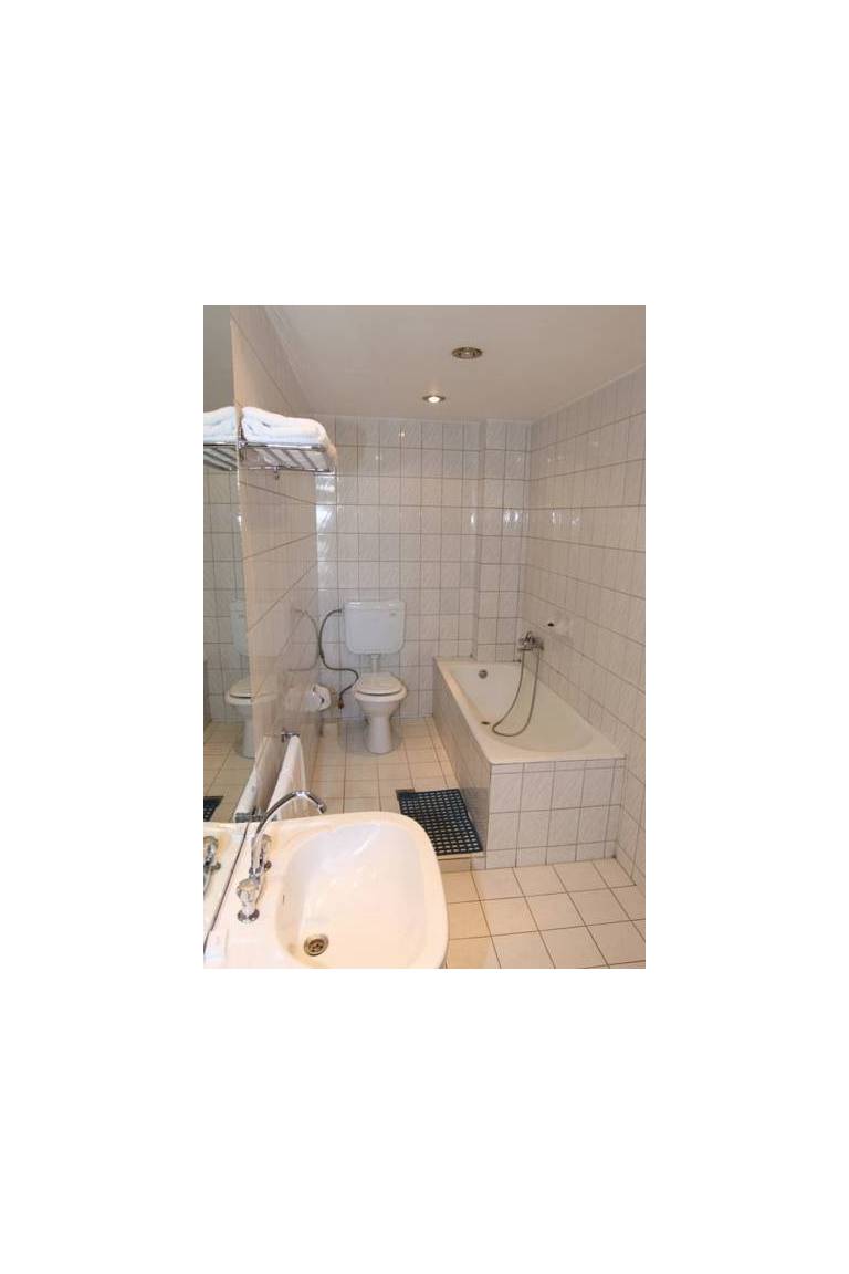 Hotel Banat