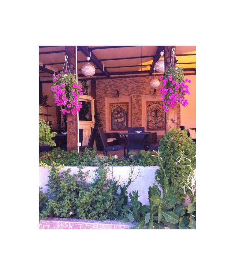 Hotel Voila
