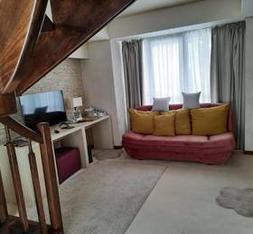 Туры в Ioana Hotel  в Румынии