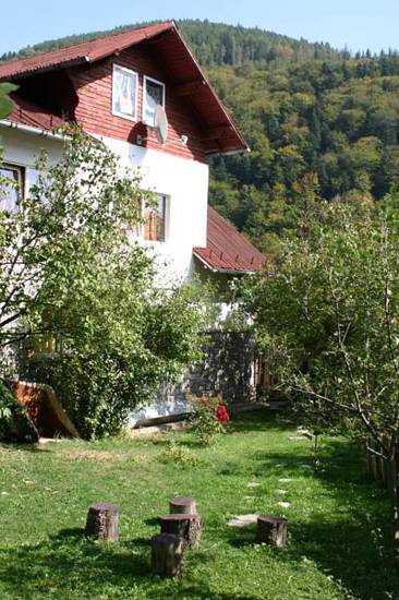 Vila Lucica 3* Румыния, Синая