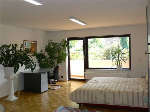 Apartment Ferienwohnung Gollas Германия, Гейдельберг