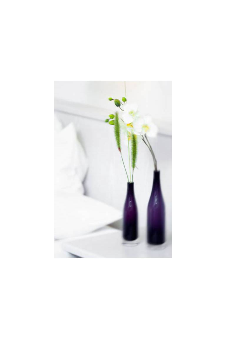 Auszeit Garni Hotel Hamburg