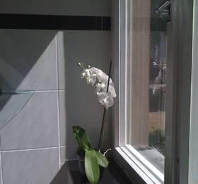 Apartment Diana am Ku'Damm в Берлине