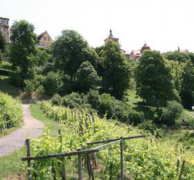 Отдых в Glocke Weingut und Hotel - Германия, Ротенбург-на-Таубере