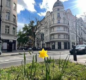Castell Hotel в Берлине