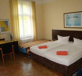 Туры в Hotel-Pension Austriana в Германии