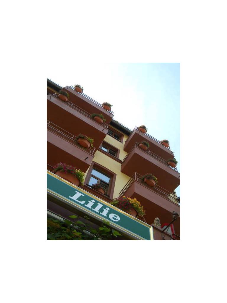 Rheinhotel Lilie